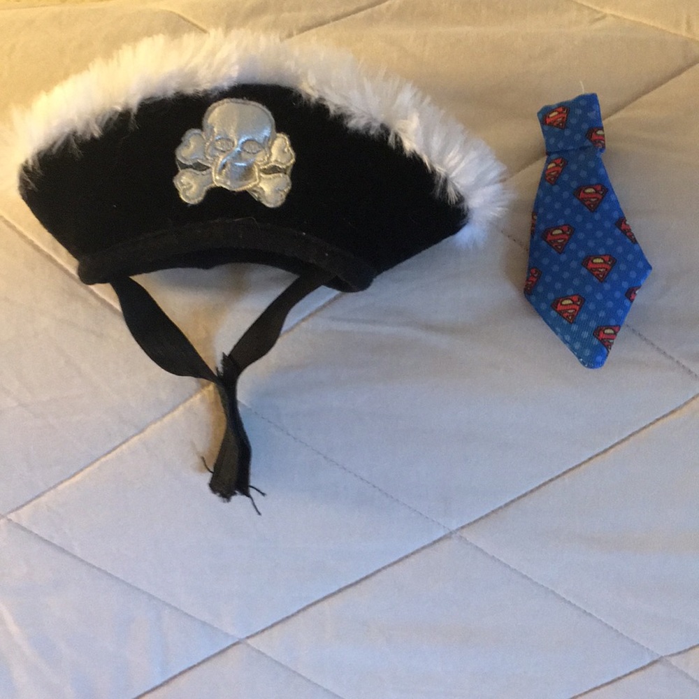 Small dog costumes accessories